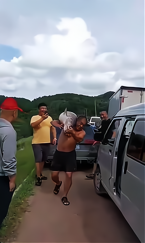 沈阳水库惊现“鱼王”被钓起，钓鱼爱好者热议不断，现场视频引发全网关注。