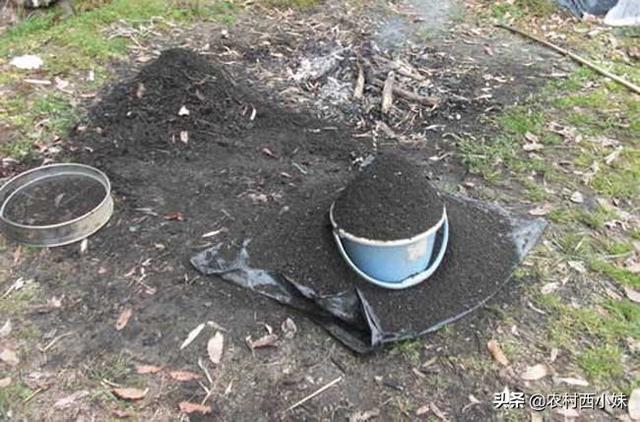 草木灰的主要成分是什么，草木灰的主要成分（草木灰积贮与施用）