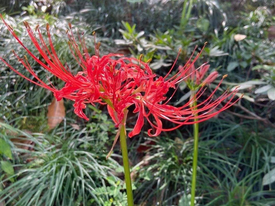 太可怕了!) - 彝家农业网