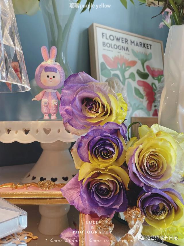 厄瓜多尔玫瑰是染色吗，厄瓜多尔玫瑰是染色吗为什么