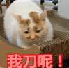 直播带货怎么做才艺，直播带货怎么做才艺展示？
