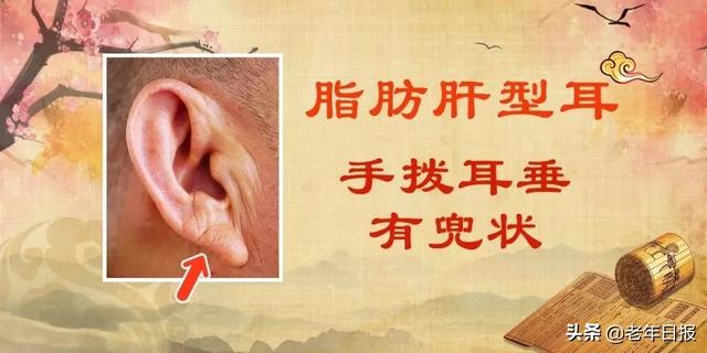 耳皮读什么意思是什么，耳朵皮读什么（降压、健脑、补肾精……别错过）