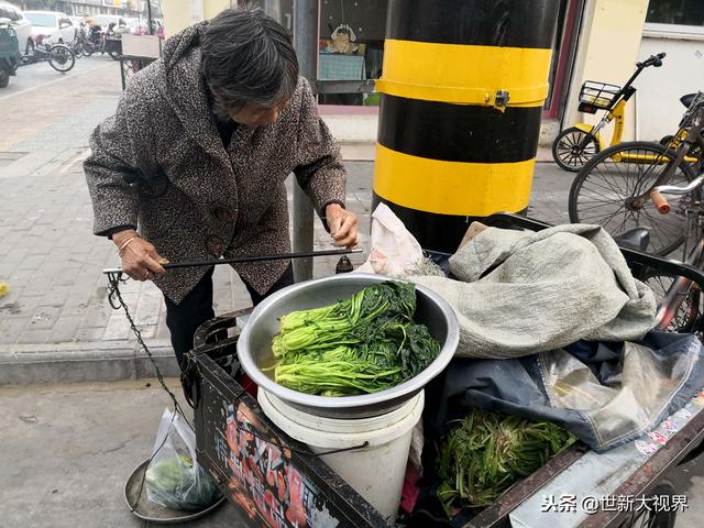 雪里红,“雪里蕻”这种菜你的家乡有吗(雪里红炖豆腐) 雪里红,“雪里蕻”这种菜你的家乡有吗(雪里红炖豆腐)