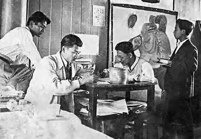 木行念什么，一个木字旁一个行念什么（“三毛”究竟经历了什么）