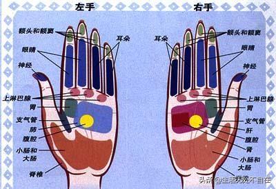 手心干燥粗糙掌纹发干怎么办，最近手心特别干燥掌纹明显怎么回事（你知道是怎么回事吗）