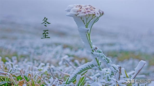 冬至不能说快乐，为什么不能说冬至快乐（祝所有朋友冬至快乐）