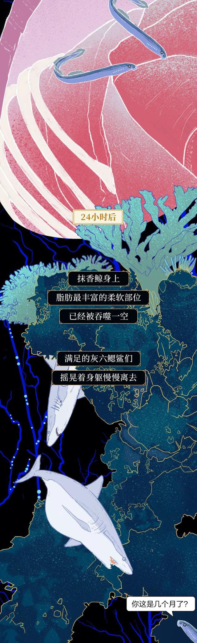 一鲸落万物生什么意思，万物生是什么意思（深入解析什么是“一鲸落）