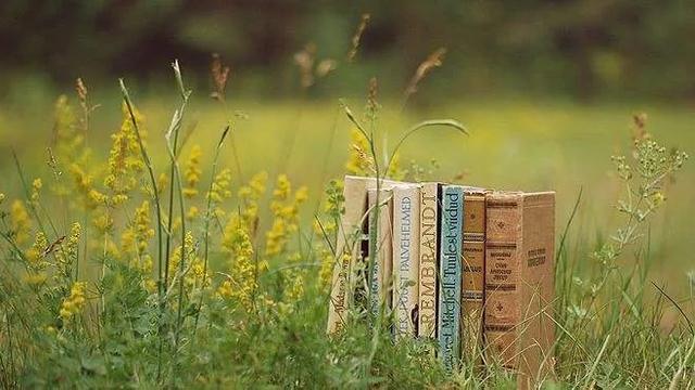 培根快乐的名言，培根关于分享快乐的名言（读书给人以乐趣）