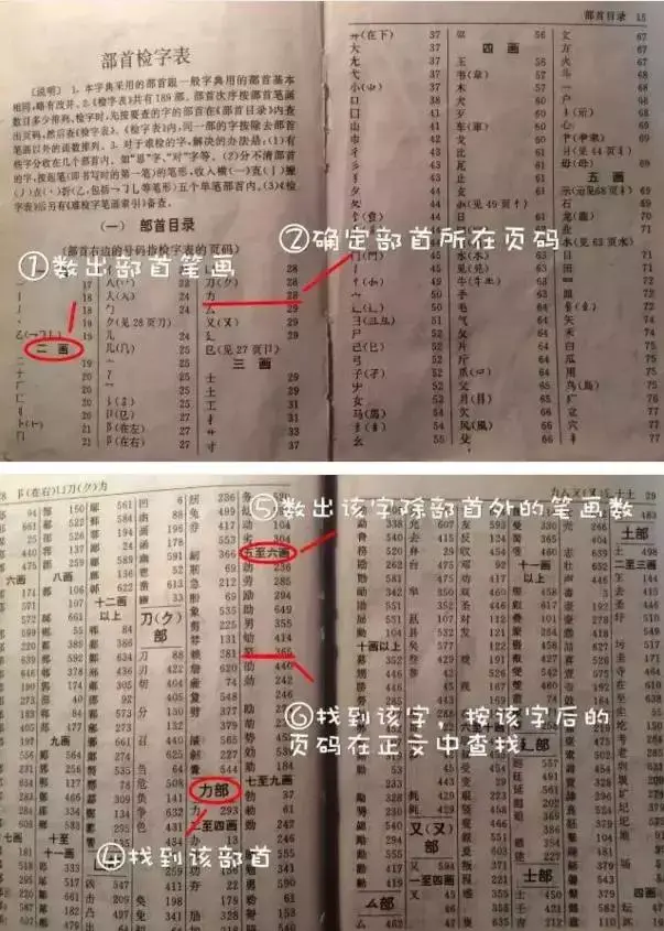 小学生如何学查字典，小学生查字典技巧口诀