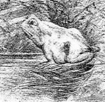 心烦意乱的图片，心烦意乱，微信头像（杂图），微信头像（心情一下子豁然开朗）