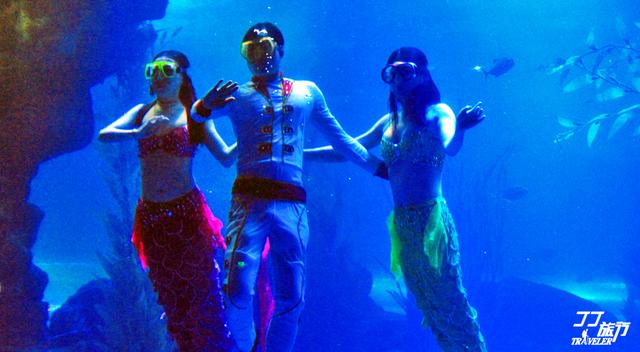 青岛有几个海底世界，青岛海底世界有几处（是有着中国最大的海底世界吗）