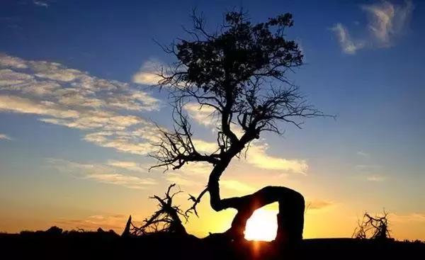 刑伤是什么意思，被篡改的《道德经》