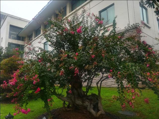 水漫金山的故事发生在哪里，水漫金山的故事发生在浙江的什么地方（白蛇传《水漫金山》的故事发生地）