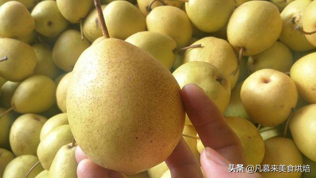 茄梨营养价值及功效与作用，盘点全国最好吃的50种梨