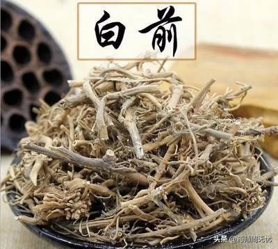 白前的功效与作用，白前的功效！（白话中药——白前）