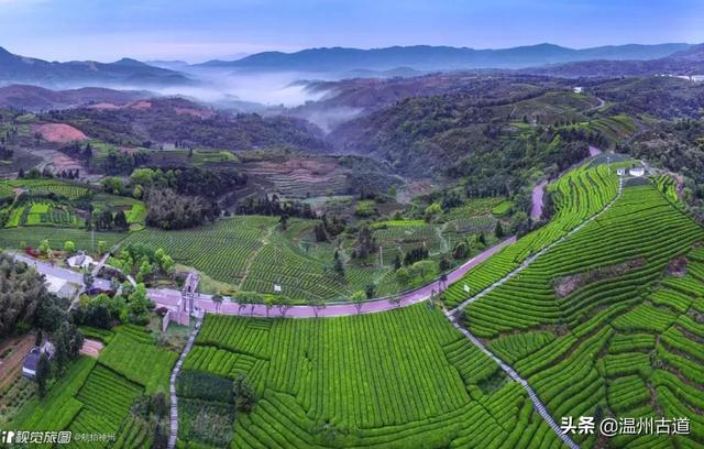 苍南10大名山,苍南的这十座名山,你都爬过吗 苍南10大名山,苍南的这十座名山,你都爬过吗