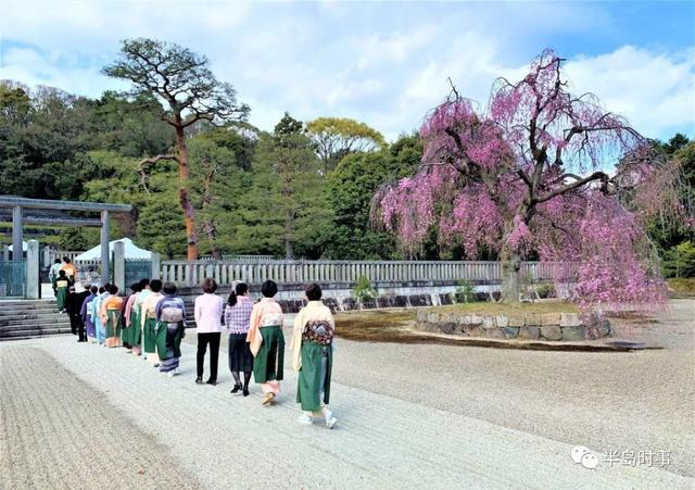 伏见桃山起源，来自日本天皇陵墓的奶茶