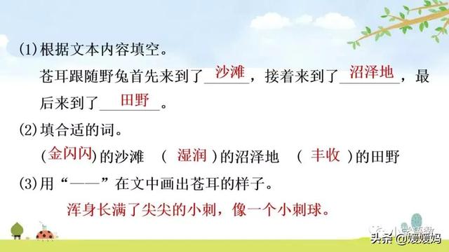 野外辨别方向的方法有哪些，野外辨认方向的6种方法（二年级下册语文17《要是你在野外迷了路》图文详解及同步练习）