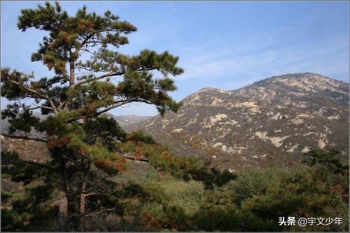 莱芜属于哪个市(济南市为什么没有莱芜区)