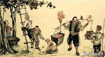 瓜果谚语，有关西瓜的谚语（农村谚语1000则<下>）