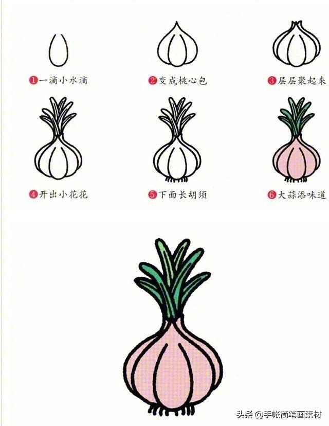 各种蔬菜简笔画，蔬菜简笔画（9种经常吃的蔬菜，简单又好画）