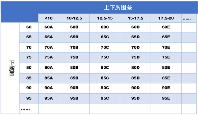 胸罩的数字代表什么，内衣罩杯的数字代表什么（80%的女性朋友不知道如何选择合适胸罩）