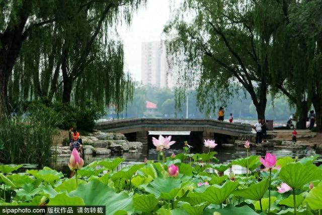免费！毗邻玉渊潭，这个公园人少景美，据说还能治“颈椎病”！
