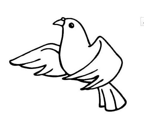 鸽子简笔画怎么画,抓住大的形体简单易学(简笔画:高清鸽子简笔画)