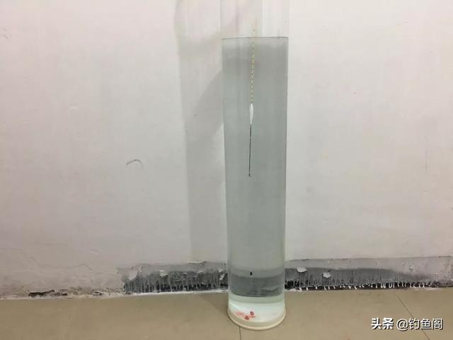 钓鱼调漂的正确方法，钓鱼入门如何调漂（再学不会我也没办法了）