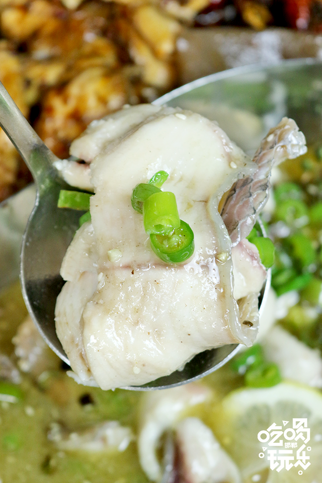 合肥齐祺渔锅地址，齐祺渔锅官网地址（邯郸这家专门吃鱼的店）