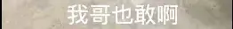 海南人怎么样(为什么感觉海南人好像很穷)