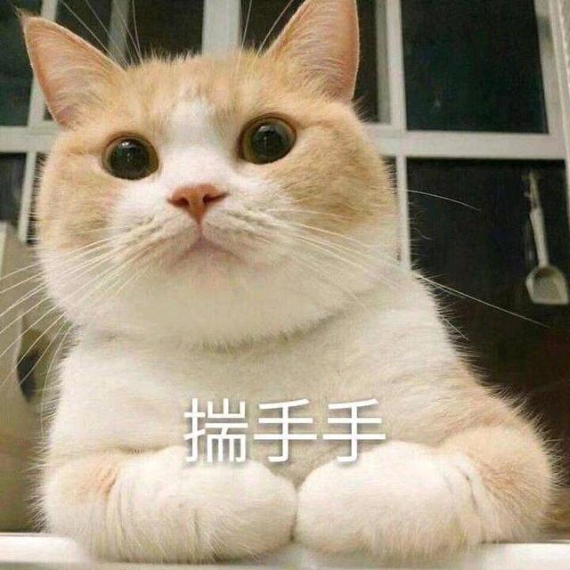 猫怕冷还是怕热，猫咪怕冷还是怕热的表现（如果您家猫有以下行为）