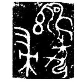 玄鸟是什么鸟，玄鸟百度百科（殷商图腾“玄鸟”根本不是燕子）