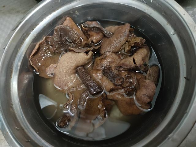 鹤子怎么吃营养最好，鹤主要吃什么（泰山松林的馈赠）