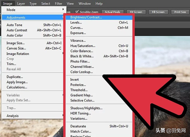 ps怎么把图片变成黑白，用PS把彩色照片变成黑白色的5种方法（使用Photoshop将彩色照片转换成黑白照片的办法）