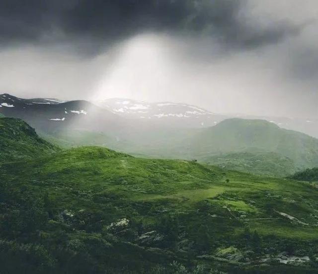 痛定思痛下一句是什么，痛定思痛是什么意思（​痛定思痛 痛改前非）