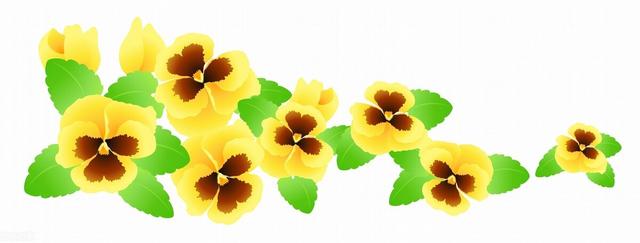 十二月花神，十二月花神（十二月花名歌）