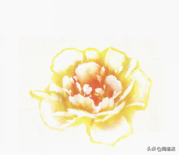 牡丹花头的画法对照表，写意牡丹花头的各种画法