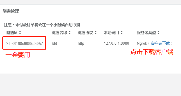 外网如何访问内网，怎么修改网络ip（五分钟实现外网访问你的本地web项目）