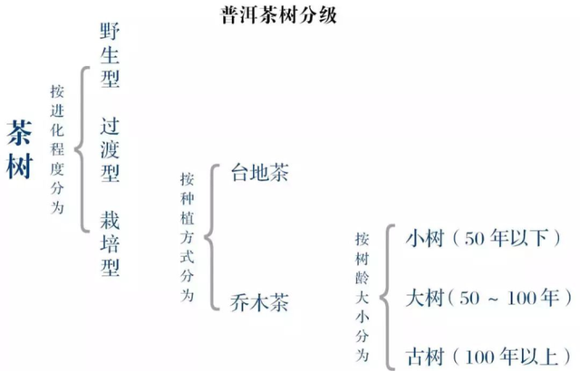 挑选普洱茶的方法，怎样挑选好普洱茶（赶紧先搞清楚普洱茶的分级体系）