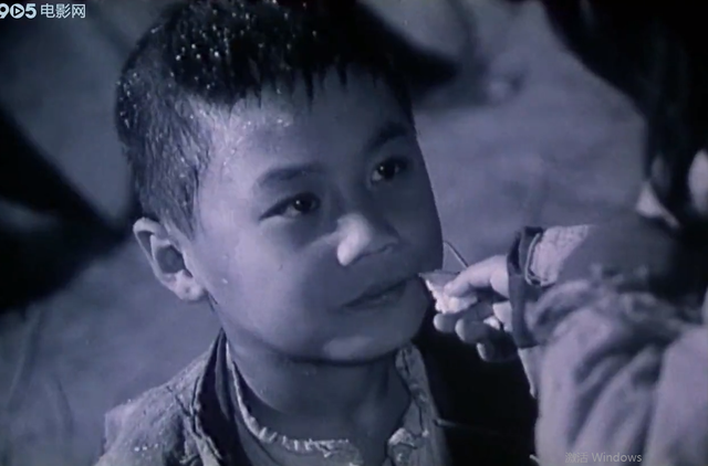 童年第三章主要内容，童年第三章主要内容概括10字（《小花》原著《桐柏英雄》的故事梗概）