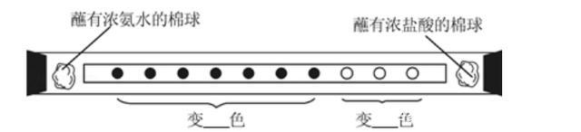 用稀硫酸除铁锈的原理是什么，硫酸除铁锈生成什么（九年级化学第十讲 常见的酸）