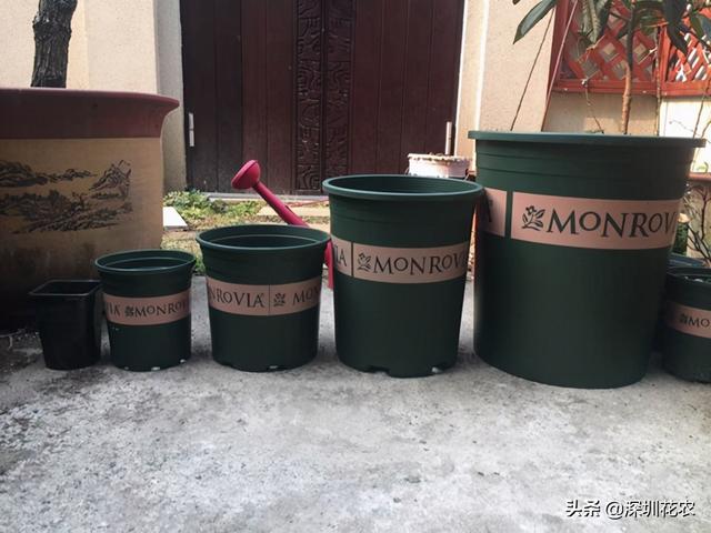 5加仑等于多少升，一桶5加仑等于多少升（关于花盆的常见尺寸问题）