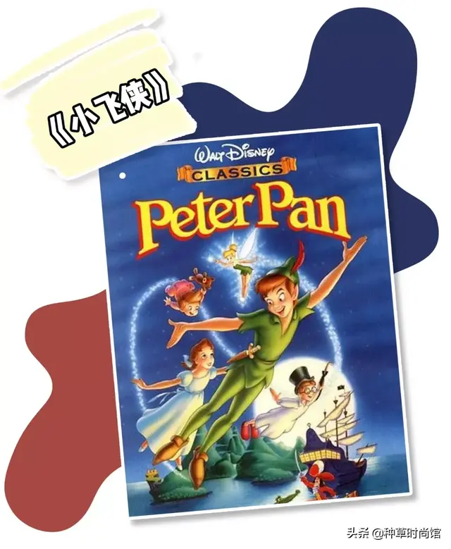 彼得潘领是娃娃领吗，彼得潘领图片（“彼得潘领”太火了）