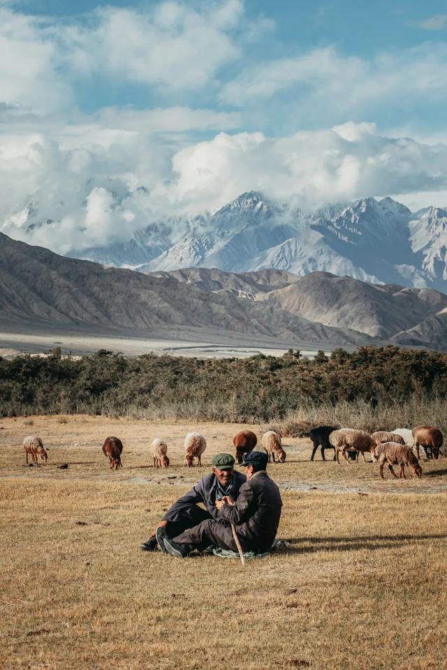 葱烧海参三种家常做法分享，葱烧海参的做法最正宗的做法（国家葱油地理：葱油）