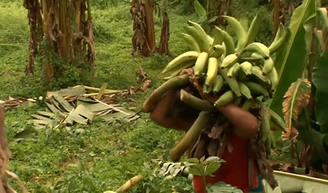 超载爱情by吉吉爱儿 百度网盘，超载爱情（在巴拿马农村开一家超市）
