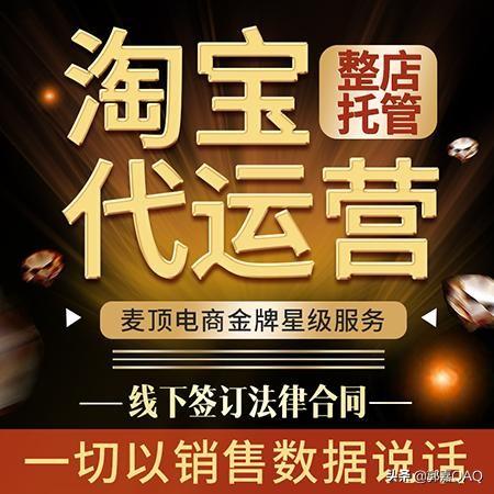 淘宝极有家什么意思(淘宝极有家在哪里进入)