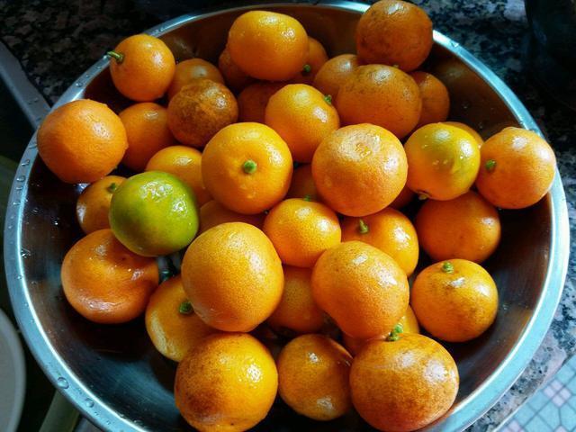 过年家里的年桔为什么不好吃，新年的“盆栽年桔”