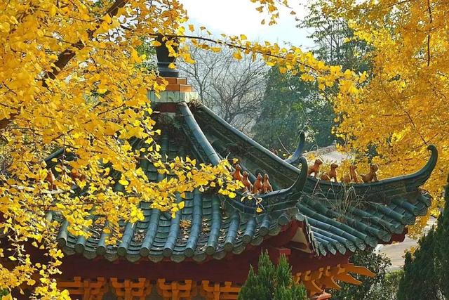 韶关云门寺，韶关云门寺图片（韶关这座色彩斑斓的古寺现在去正好）