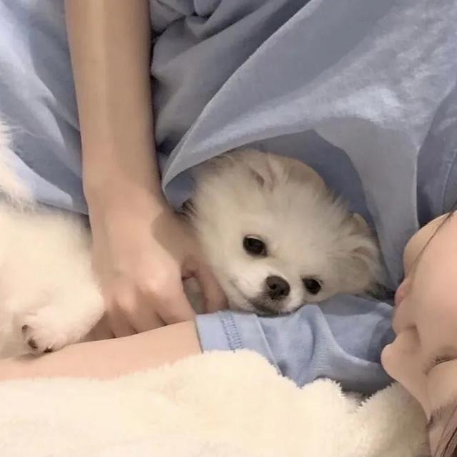 男朋友不是人系列情头一对，男朋友不是人系列了/情头微信（情侣头像，男朋友不是人系列）